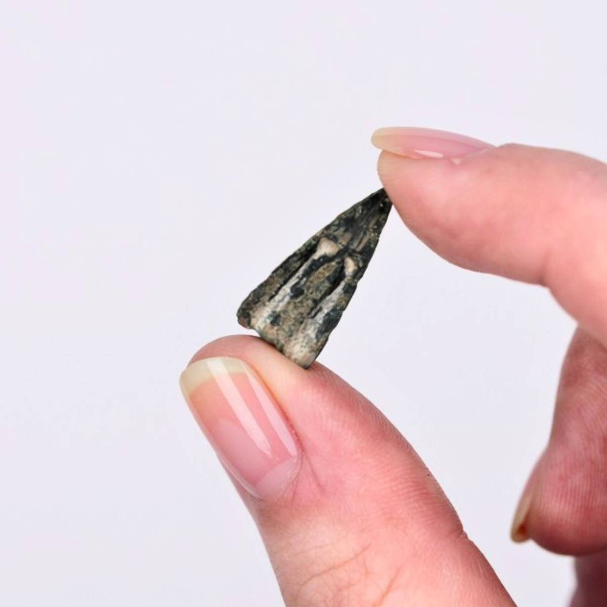 Roman Bronze Arrowhead Display