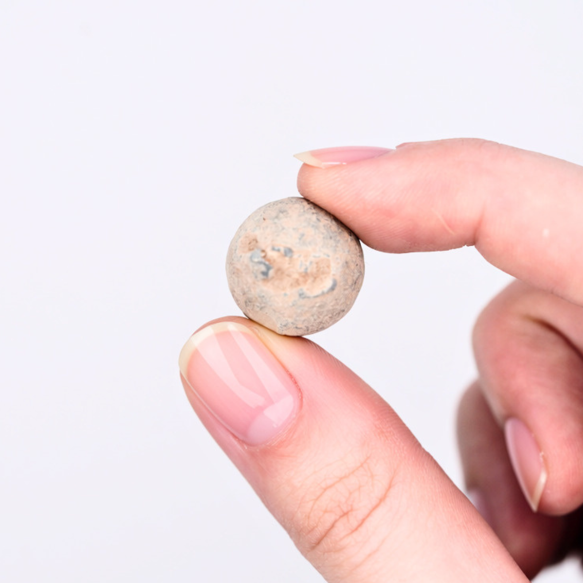 U.S. Dragoons Out West - Military Musket Ball Display