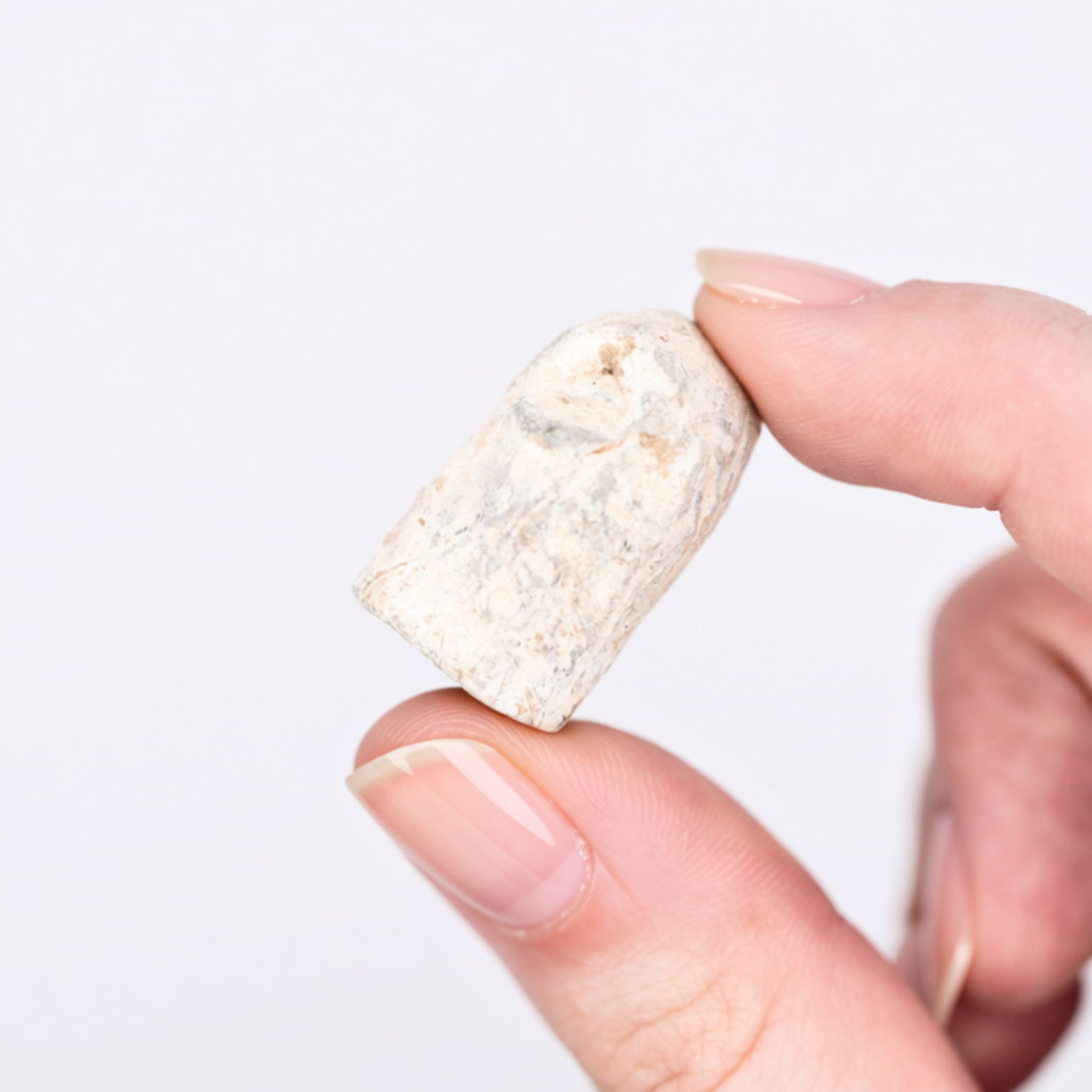 Fired Confederate Bullet
