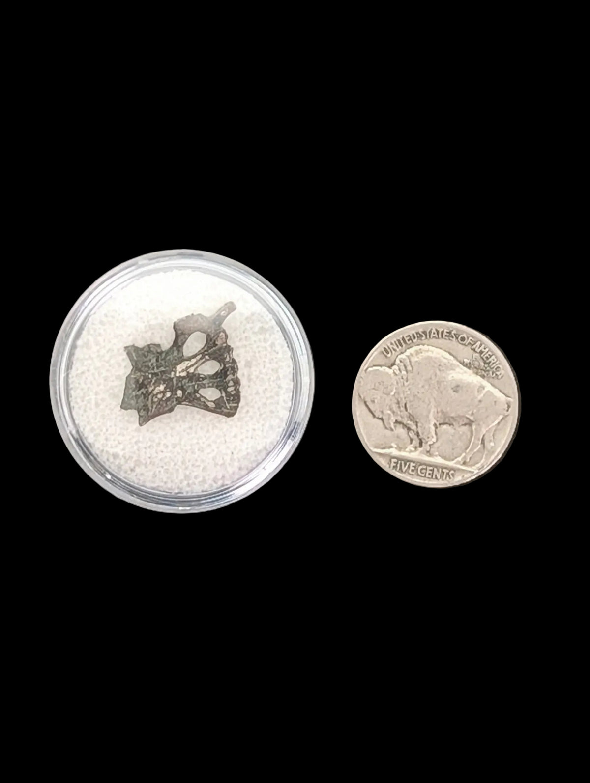 Spanish Shipwreck Silver Jewelry Fragment (c. 1700s–1800s