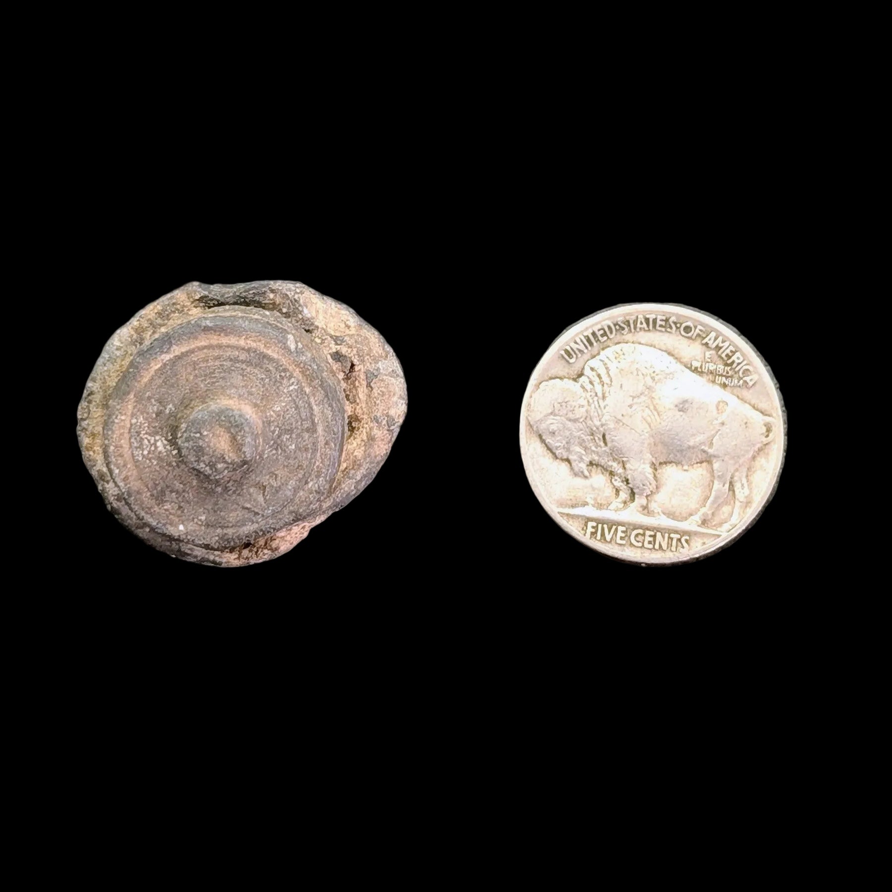 Rare Spanish Shipwreck Pewter Screw-Top Bottle Cap (c. 1600s) – San Martín Wreck, 1618